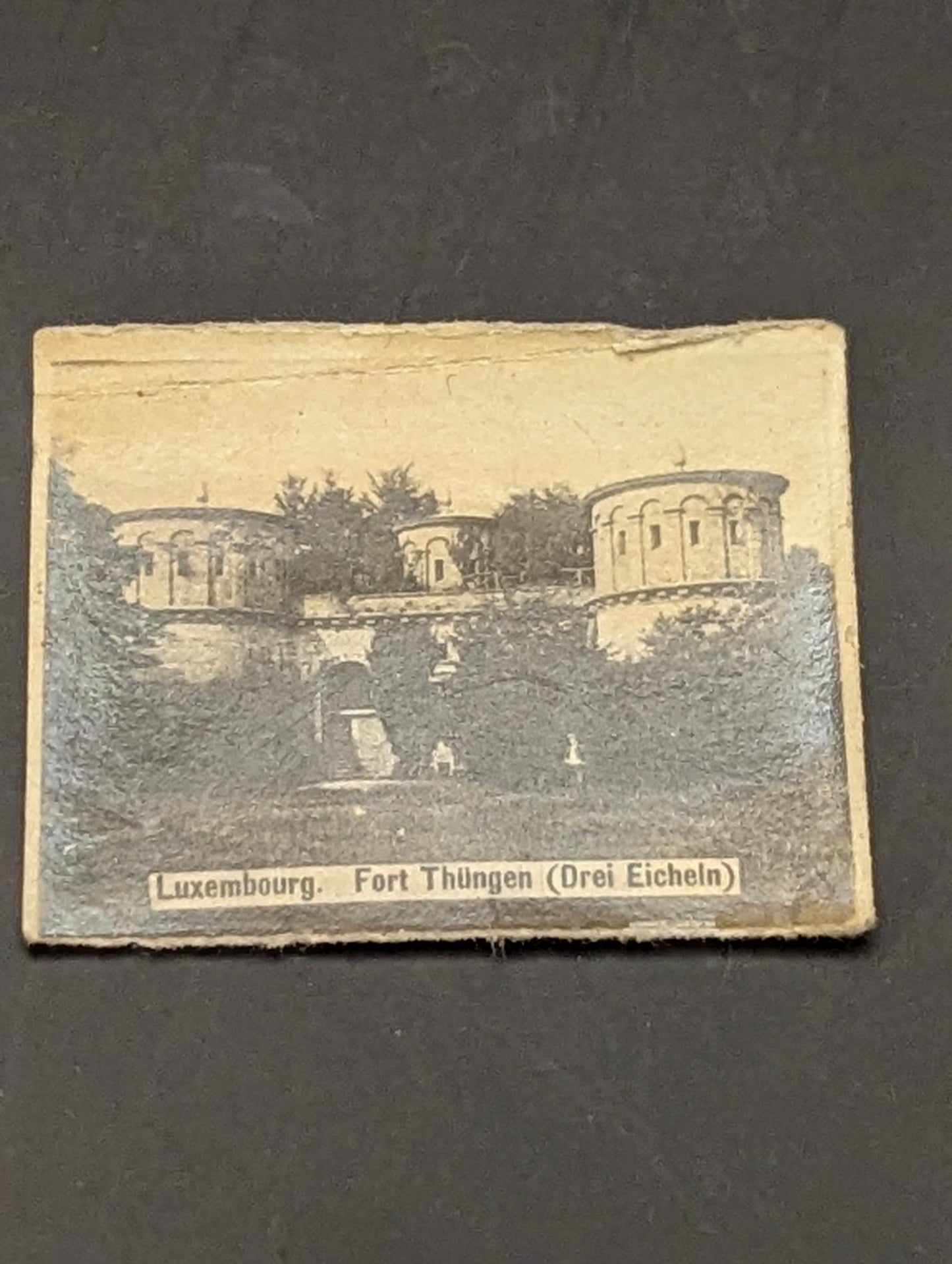 ヴィンテージ本チャームのロングネックレス｜ブラス・白蝶貝・トルマリン