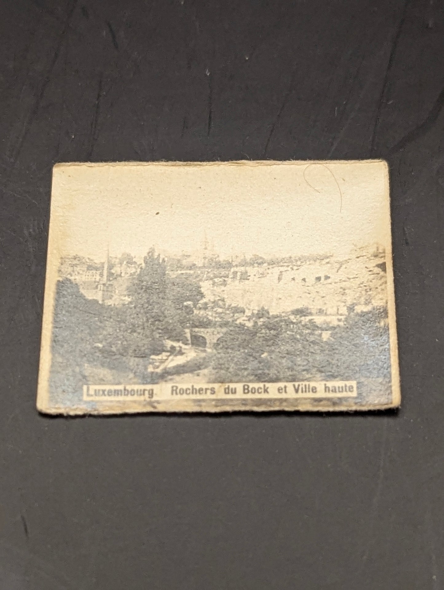 ヴィンテージ本チャームのロングネックレス｜ブラス・白蝶貝・トルマリン